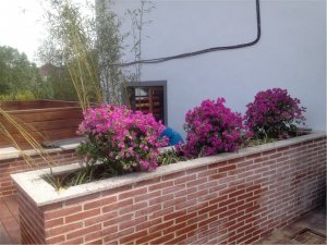 旺山精品酒店，美式屋頂花園效果圖